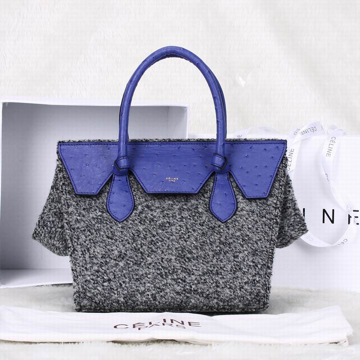 Celine handbags AAA-108