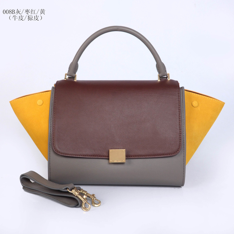 Celine handbags AAA-257