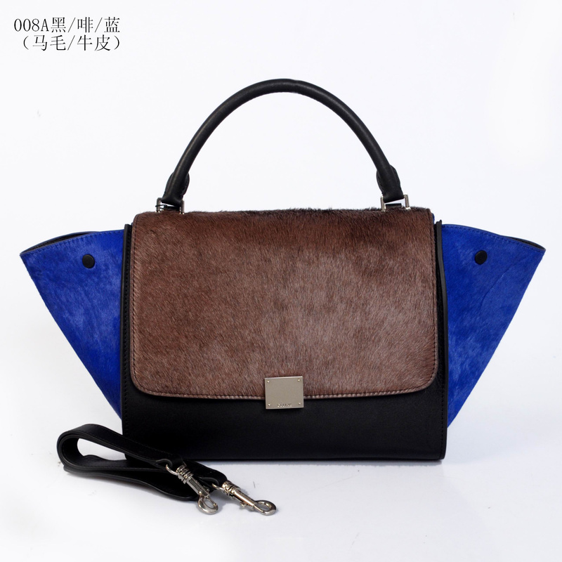 Celine handbags AAA-263