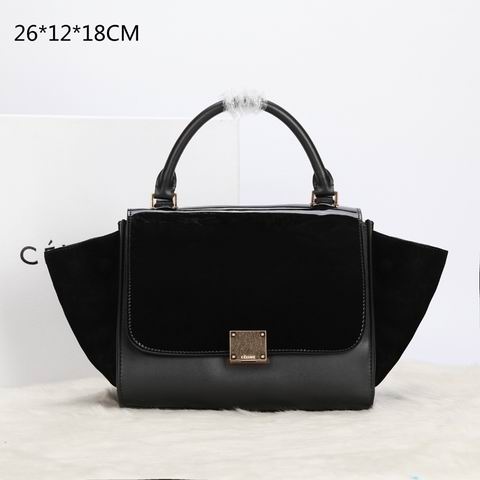 Celine handbags AAA-269