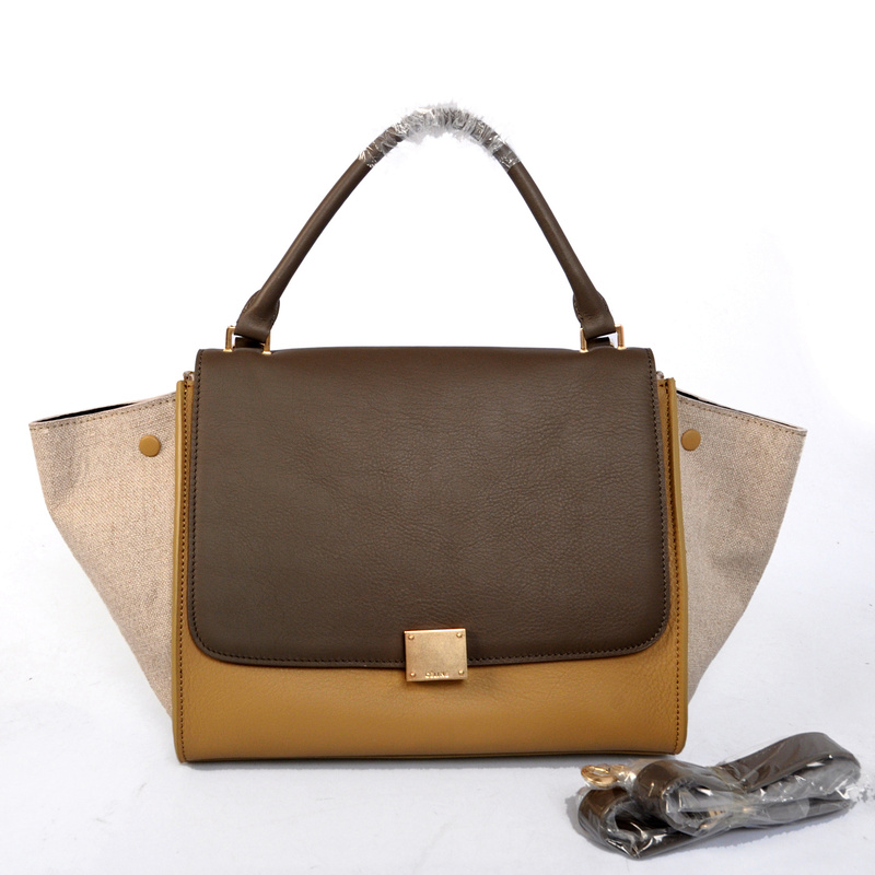 Celine handbags AAA-288