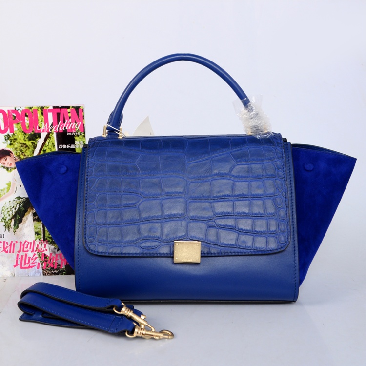 Celine handbags AAA-296