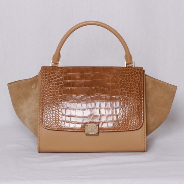 Celine handbags AAA-297