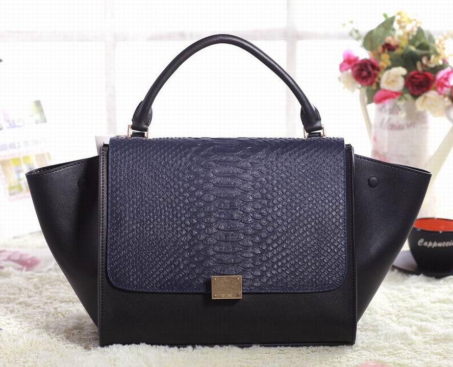 Celine handbags AAA-298