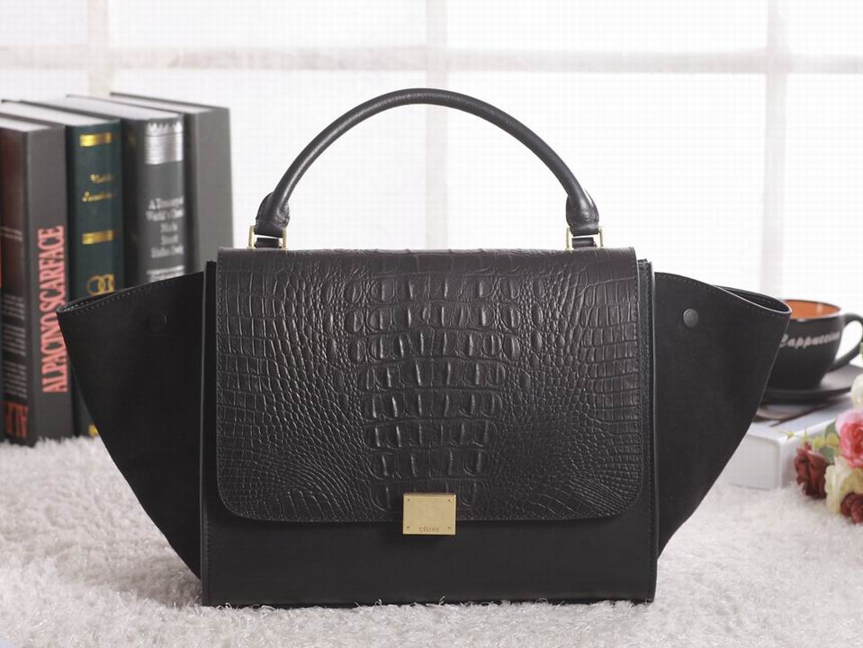 Celine handbags AAA-302