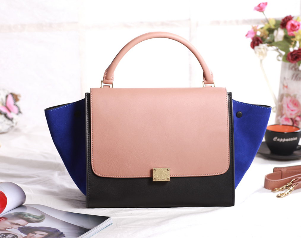 Celine handbags AAA-303