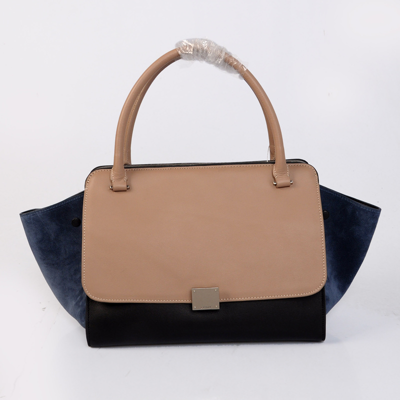 Celine handbags AAA-306