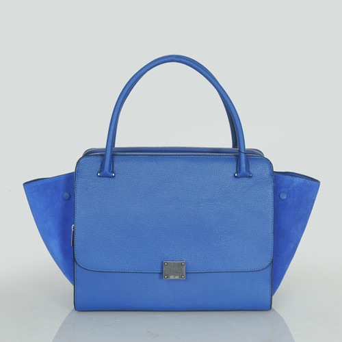 Celine handbags AAA-312