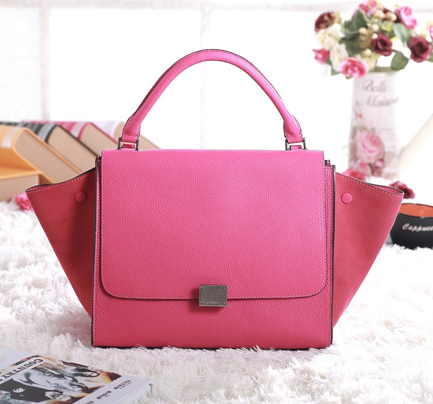 Celine handbags AAA-321