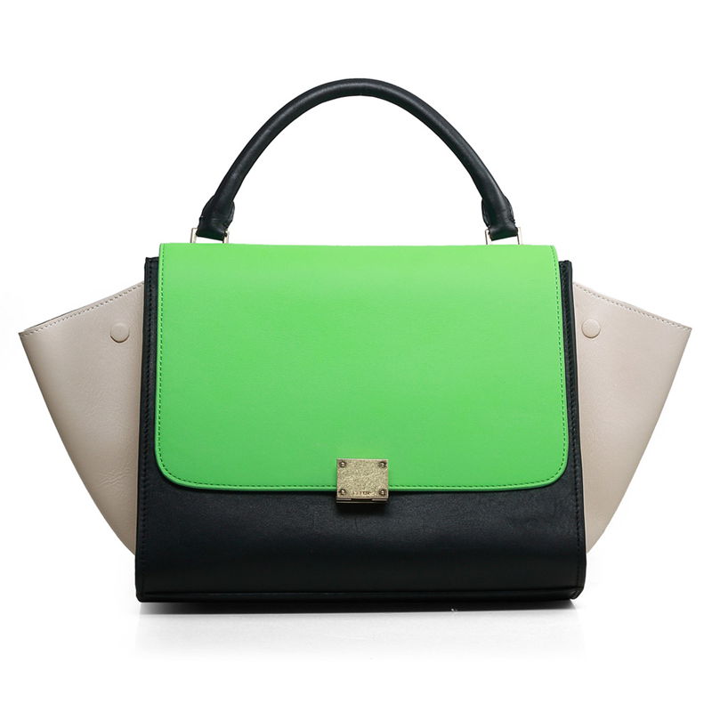 Celine handbags AAA-323