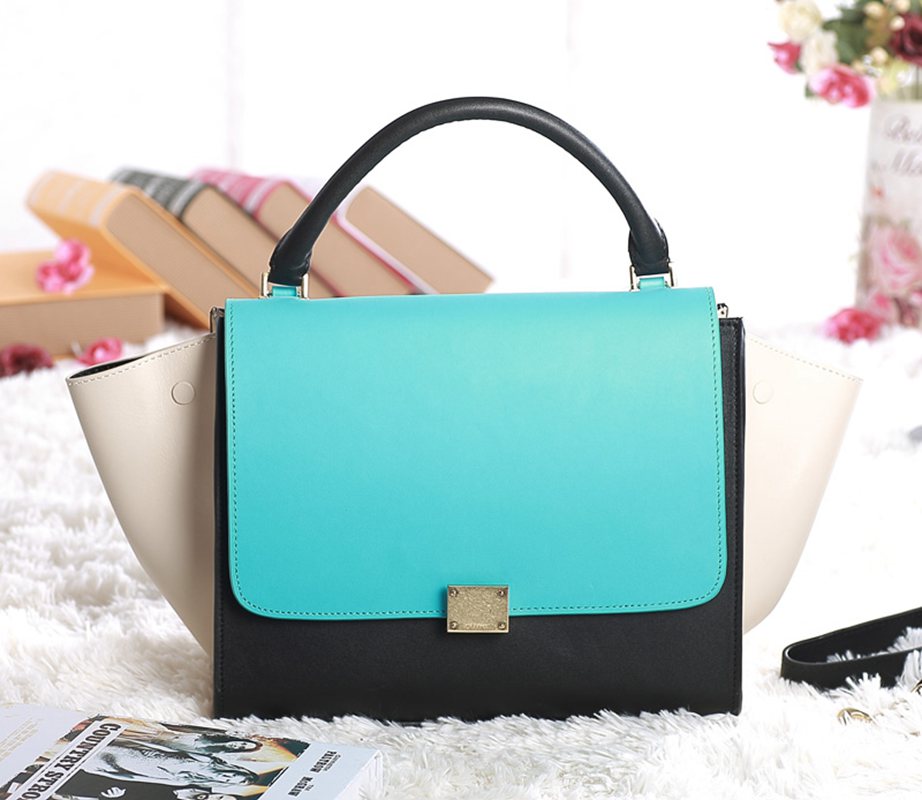 Celine handbags AAA-324