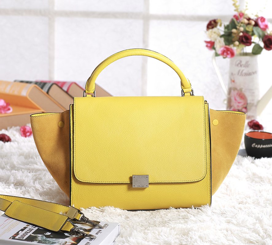 Celine handbags AAA-330