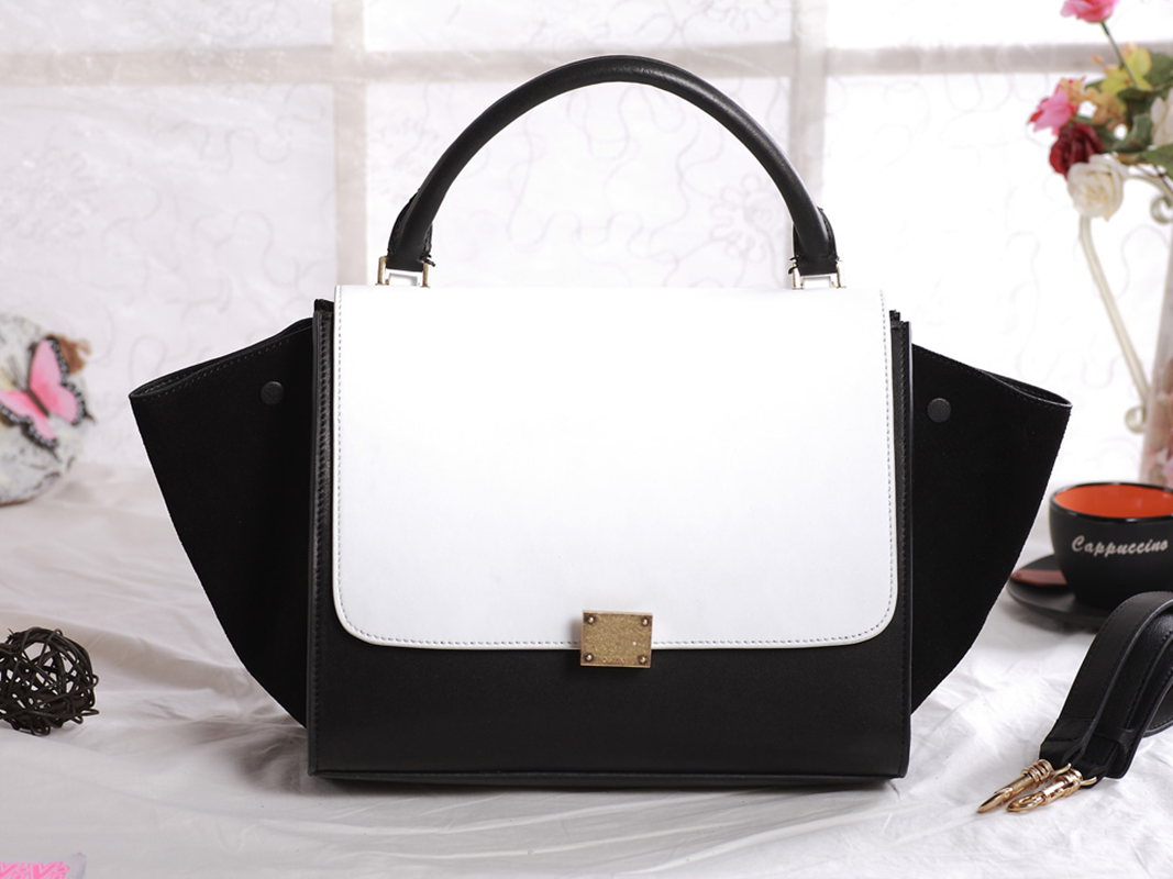 Celine handbags AAA-331