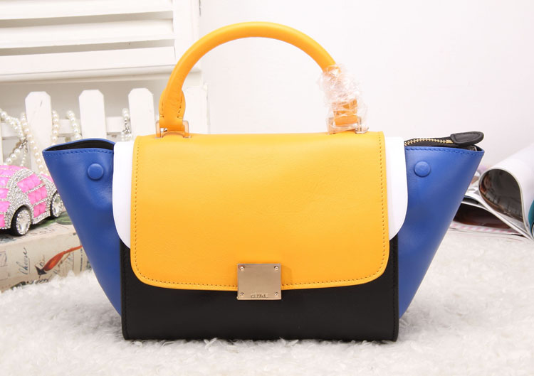 Celine handbags AAA-335