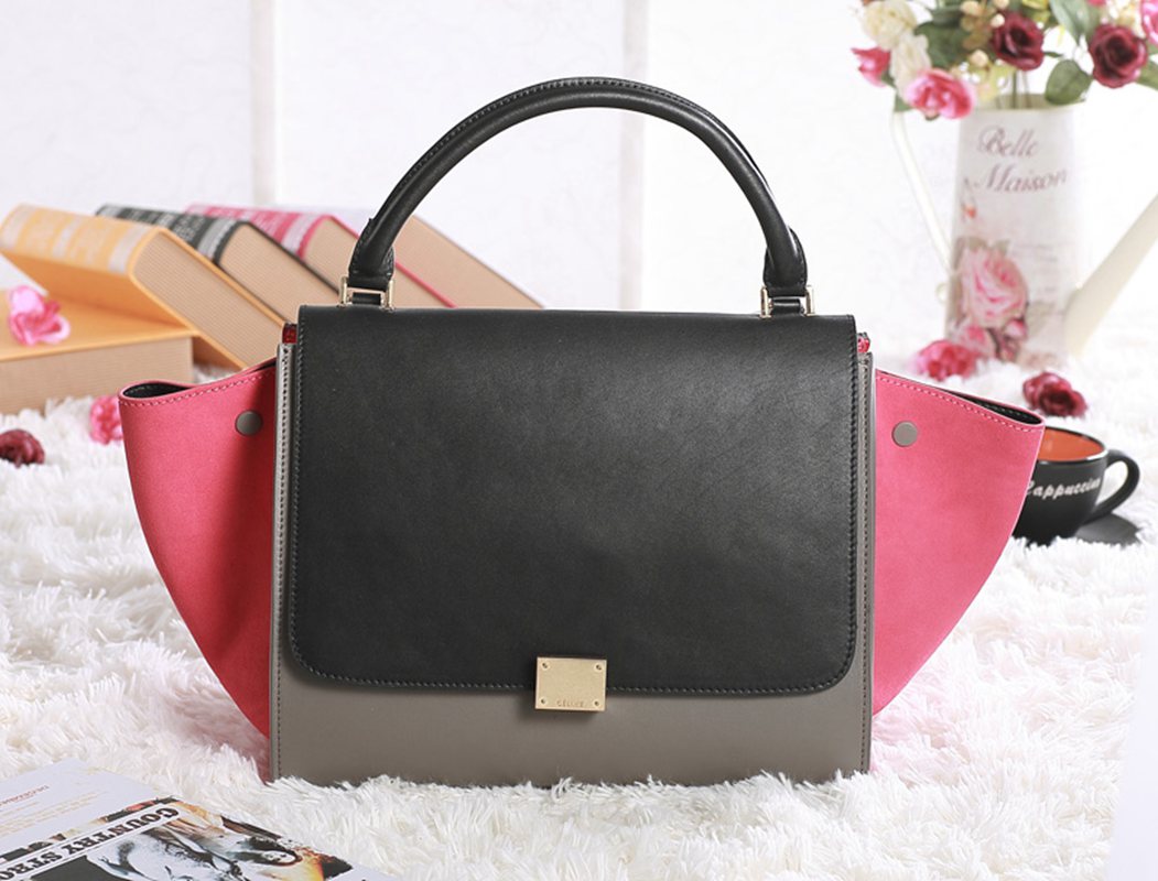 Celine handbags AAA-336