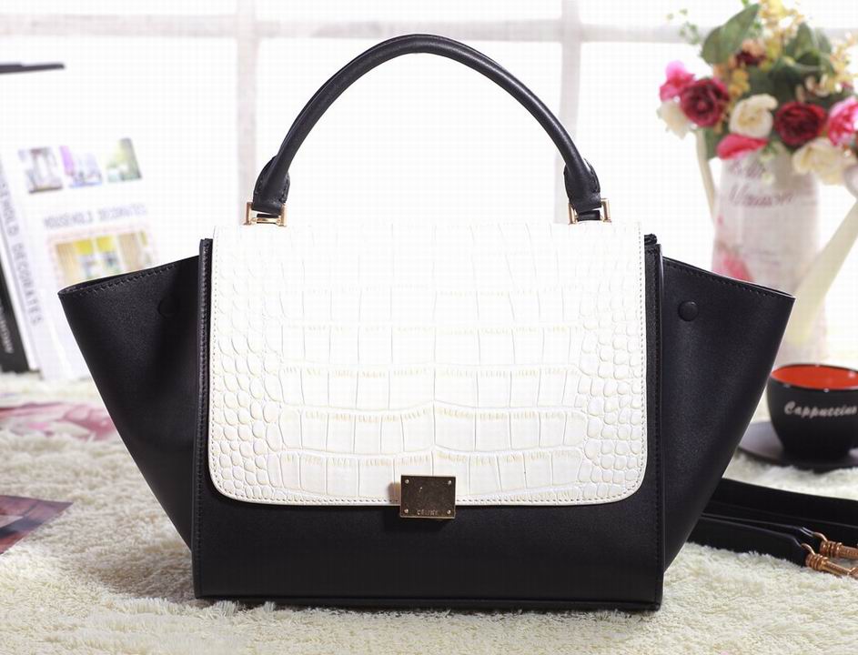 Celine handbags AAA-341