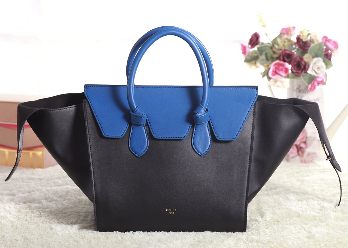 Celine handbags AAA-342