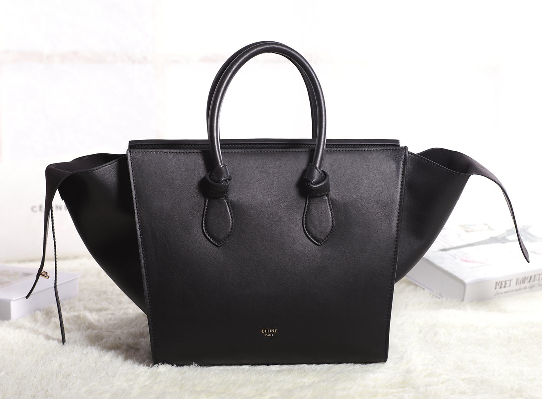 Celine handbags AAA-343