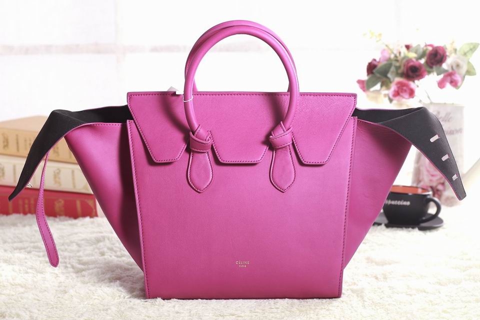 Celine handbags AAA-345