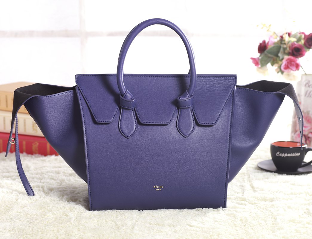 Celine handbags AAA-346