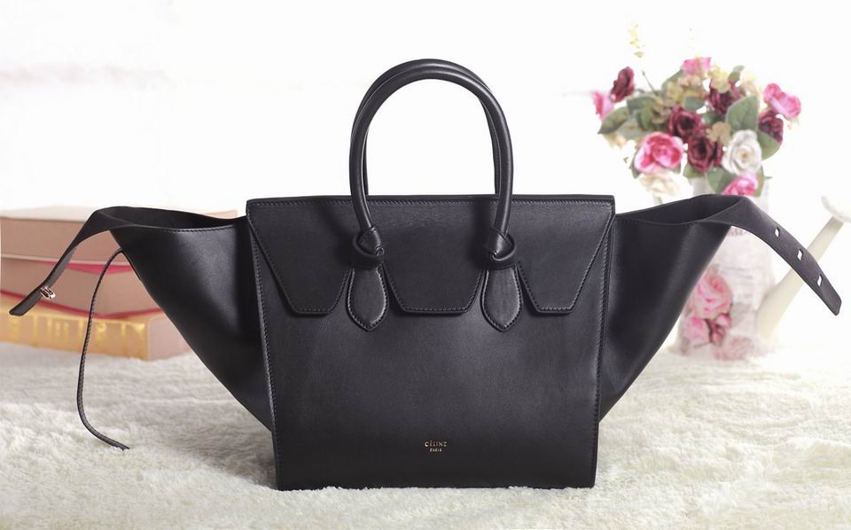 Celine handbags AAA-349