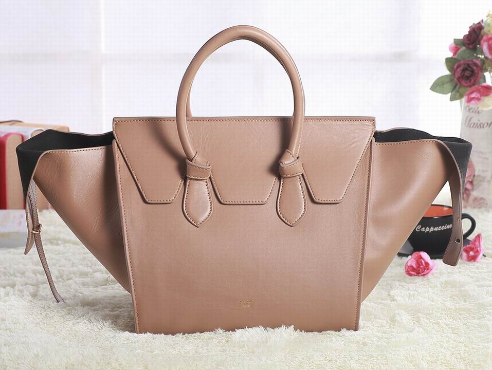 Celine handbags AAA-351