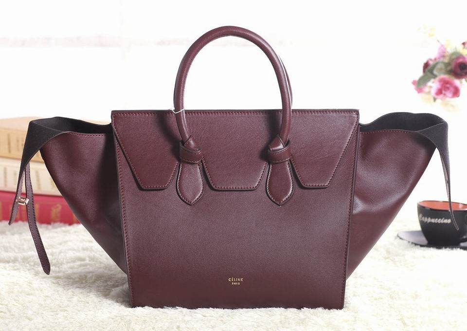 Celine handbags AAA-352