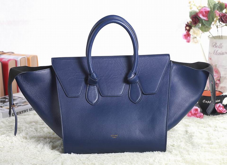 Celine handbags AAA-353