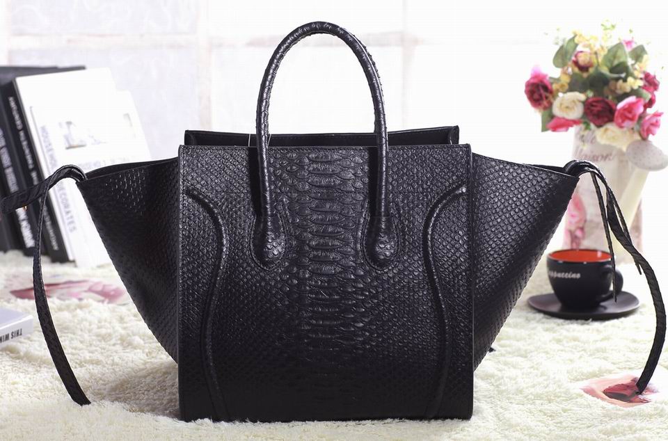 Celine handbags AAA-354