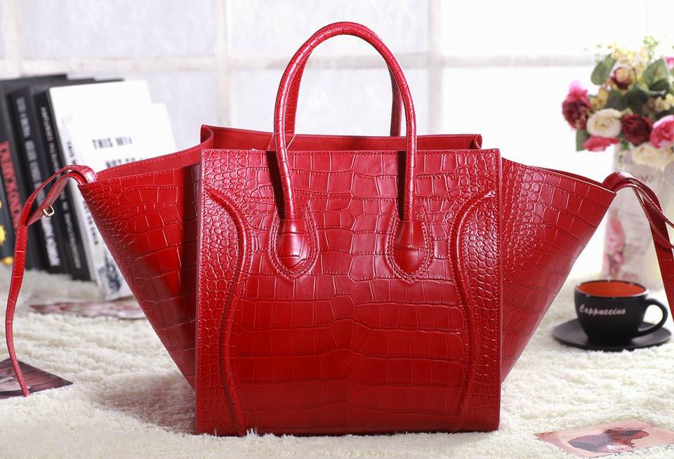 Celine handbags AAA-355