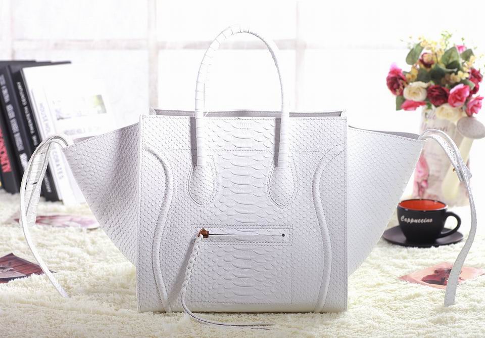 Celine handbags AAA-357