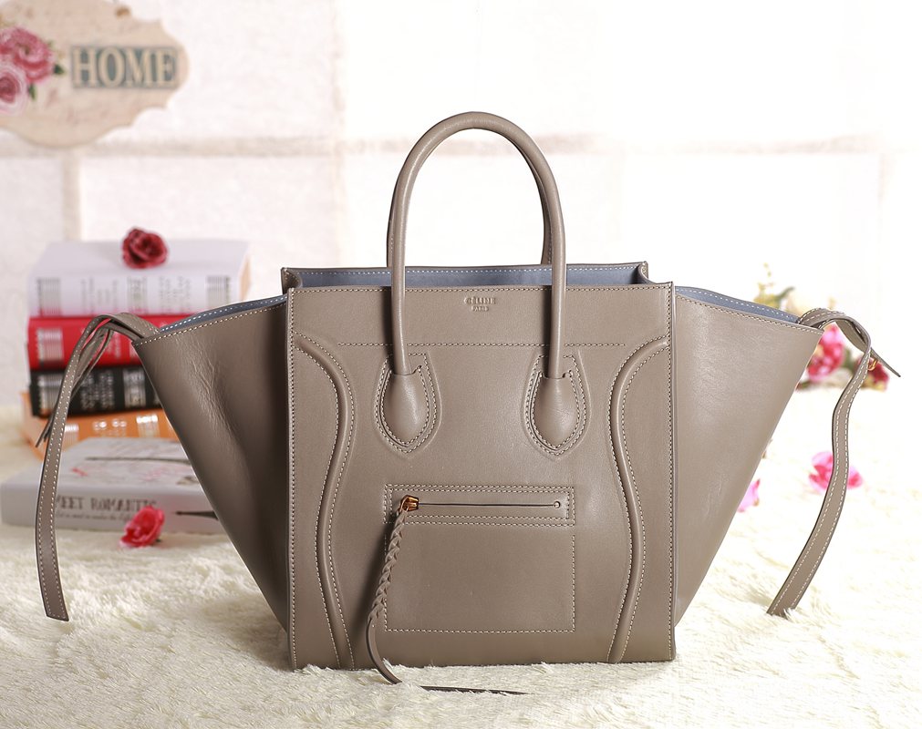 Celine handbags AAA-359