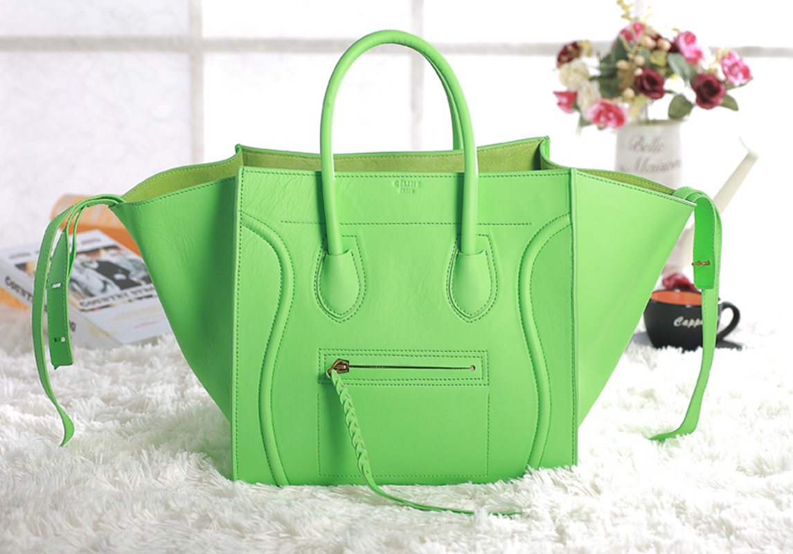 Celine handbags AAA-364