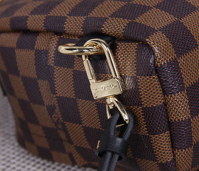 LV Backpack 11 Quality-020