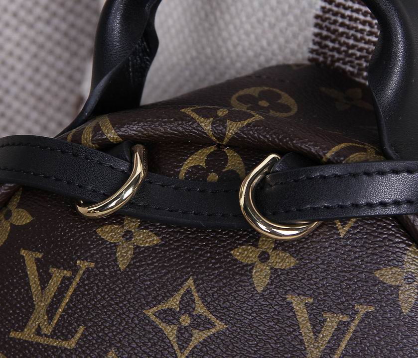 LV Backpack 11 Quality-030