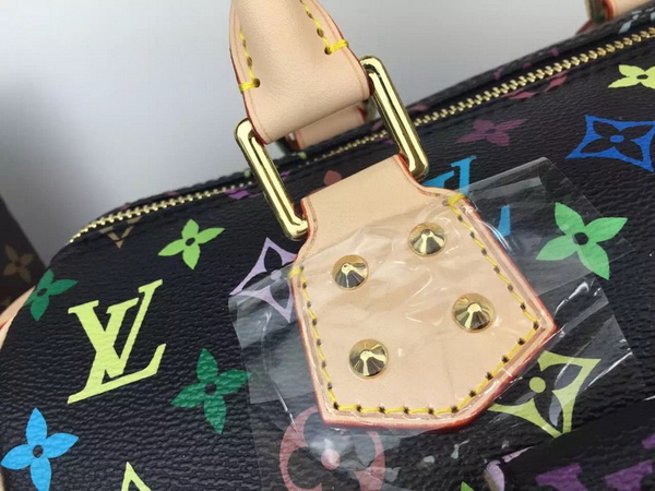 LV Hangbags AAA-050