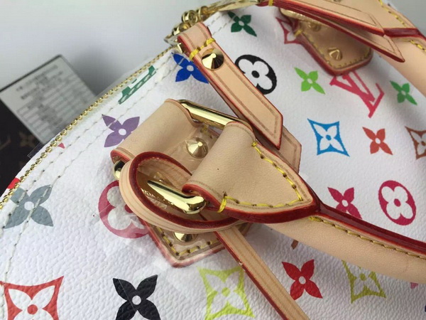 LV Hangbags AAA-052