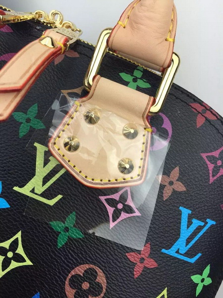 LV Hangbags AAA-053