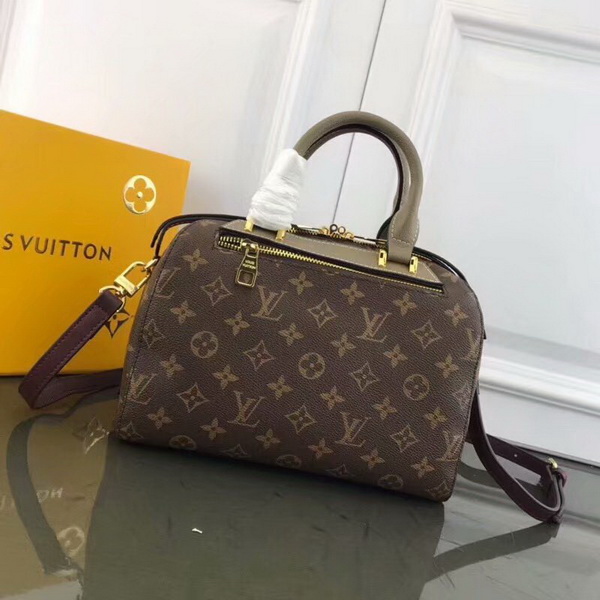 LV Hangbags AAA-273