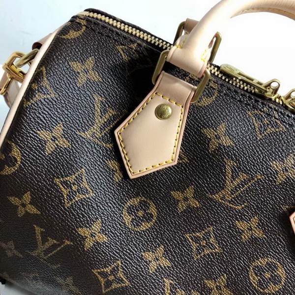 LV Hangbags AAA-313