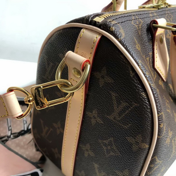 LV Hangbags AAA-313