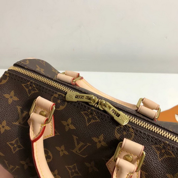 LV Hangbags AAA-313