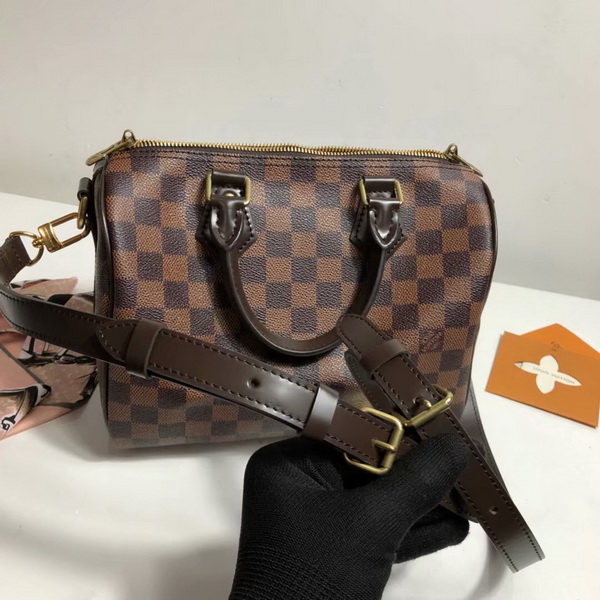 LV Hangbags AAA-314