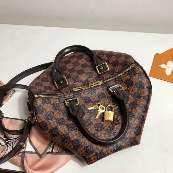 LV Hangbags AAA-314