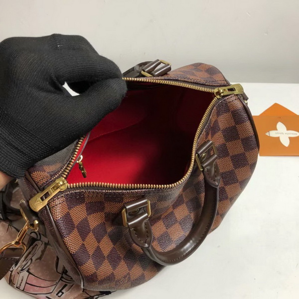 LV Hangbags AAA-314