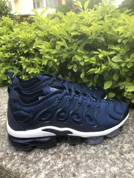 Nike Air Max TN Plus men shoes-643