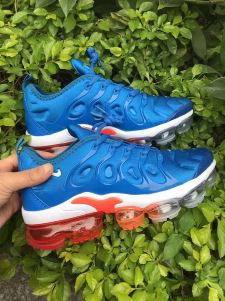 Nike Air Max TN Plus men shoes-649