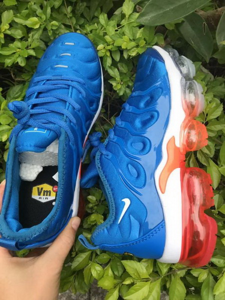 Nike Air Max TN Plus men shoes-649