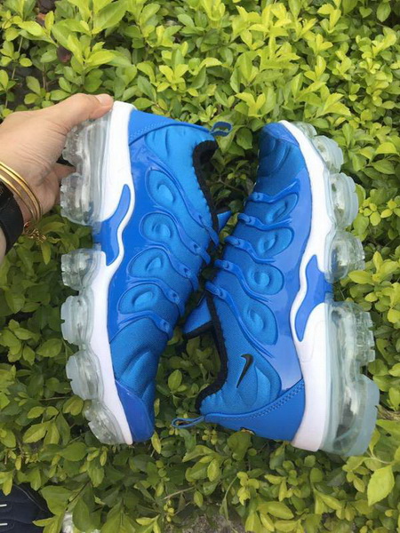 Nike Air Max TN Plus men shoes-650