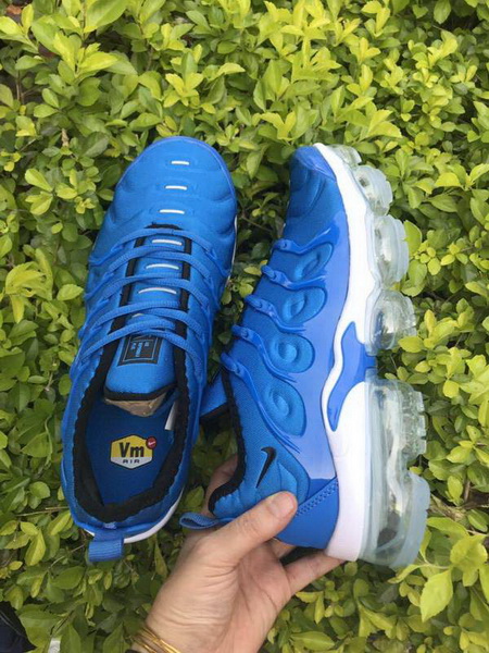 Nike Air Max TN Plus men shoes-650